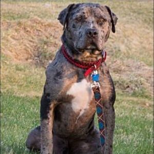 Meet your Posher, Street